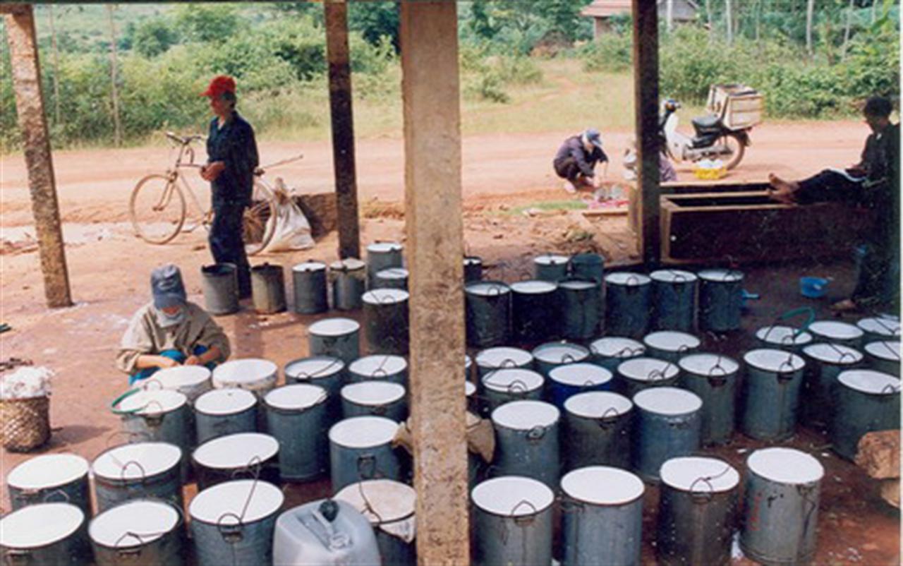 Nhu cầu nhập khẩu cao su của Trung Quốc gia tăng