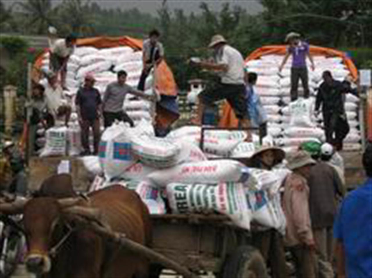 Thị trường phân bón trong nước đến ngày 02/08/2011