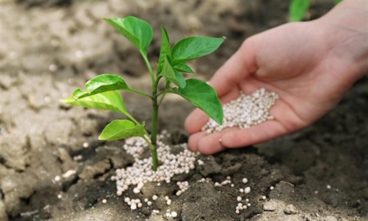 Global ammonia market unsettled and uncertain