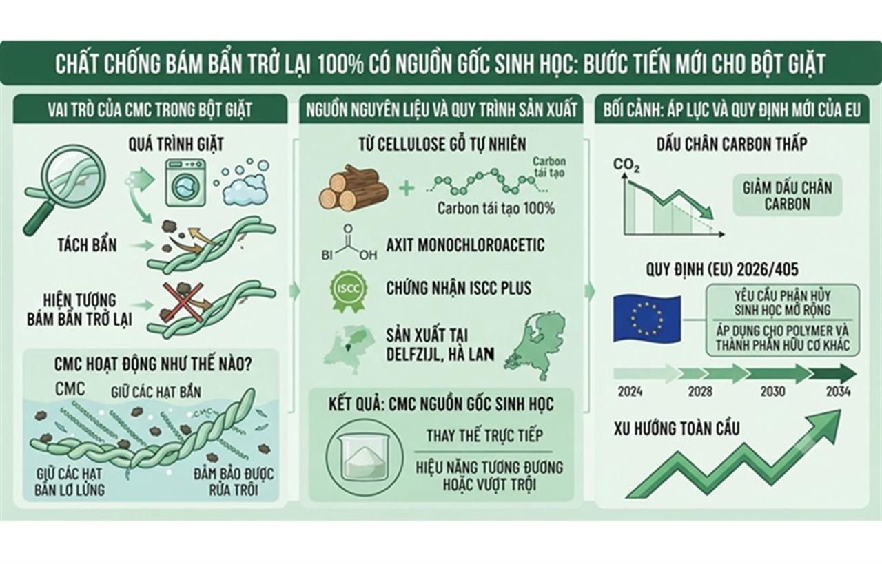 Chất chống bám bẩn trở lại 100% có nguồn gốc sinh học: Bước tiến mới cho bột giặt