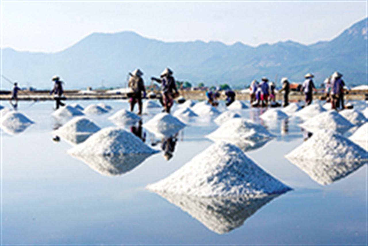 Bảo đảm nguồn cung muối công nghiệp: Xây dựng vùng nguyên liệu chất lượng cao