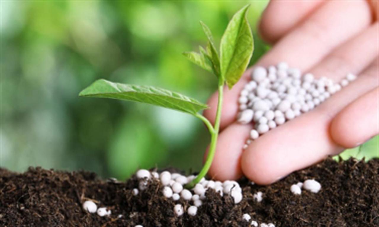 Giá phân bón xuất khẩu tháng 9 tăng 21% sau khi Trung Quốc hạn chế bán urê