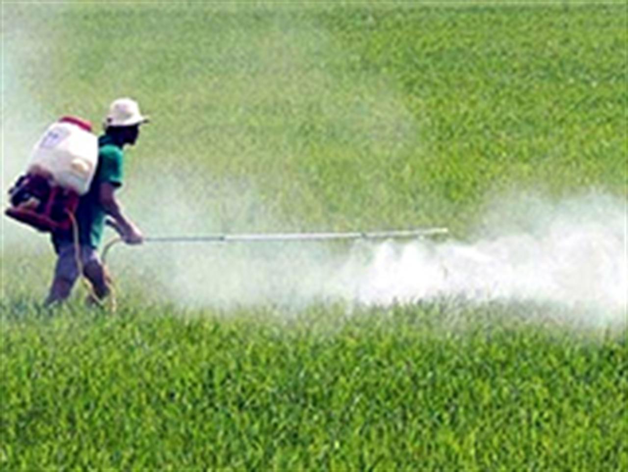 50% thuốc bảo vệ thực vật nhập khẩu Trung Quốc