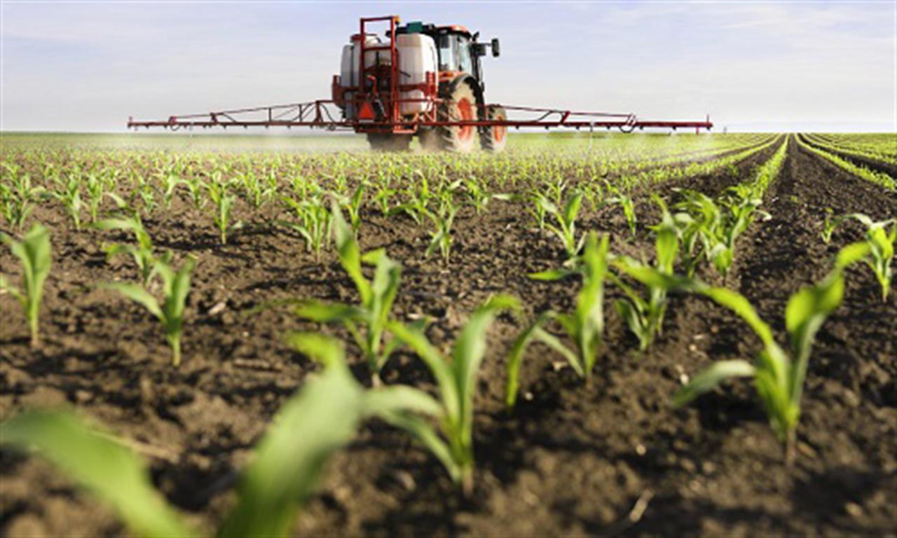 Fertilizer prices are at record highs. Here’s what that means for the global economy