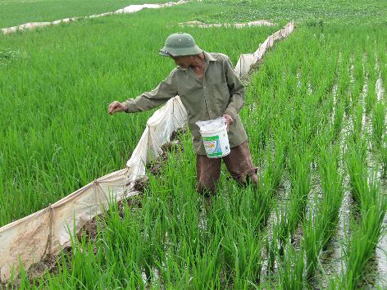 Phân bón và nỗi lo “kép”