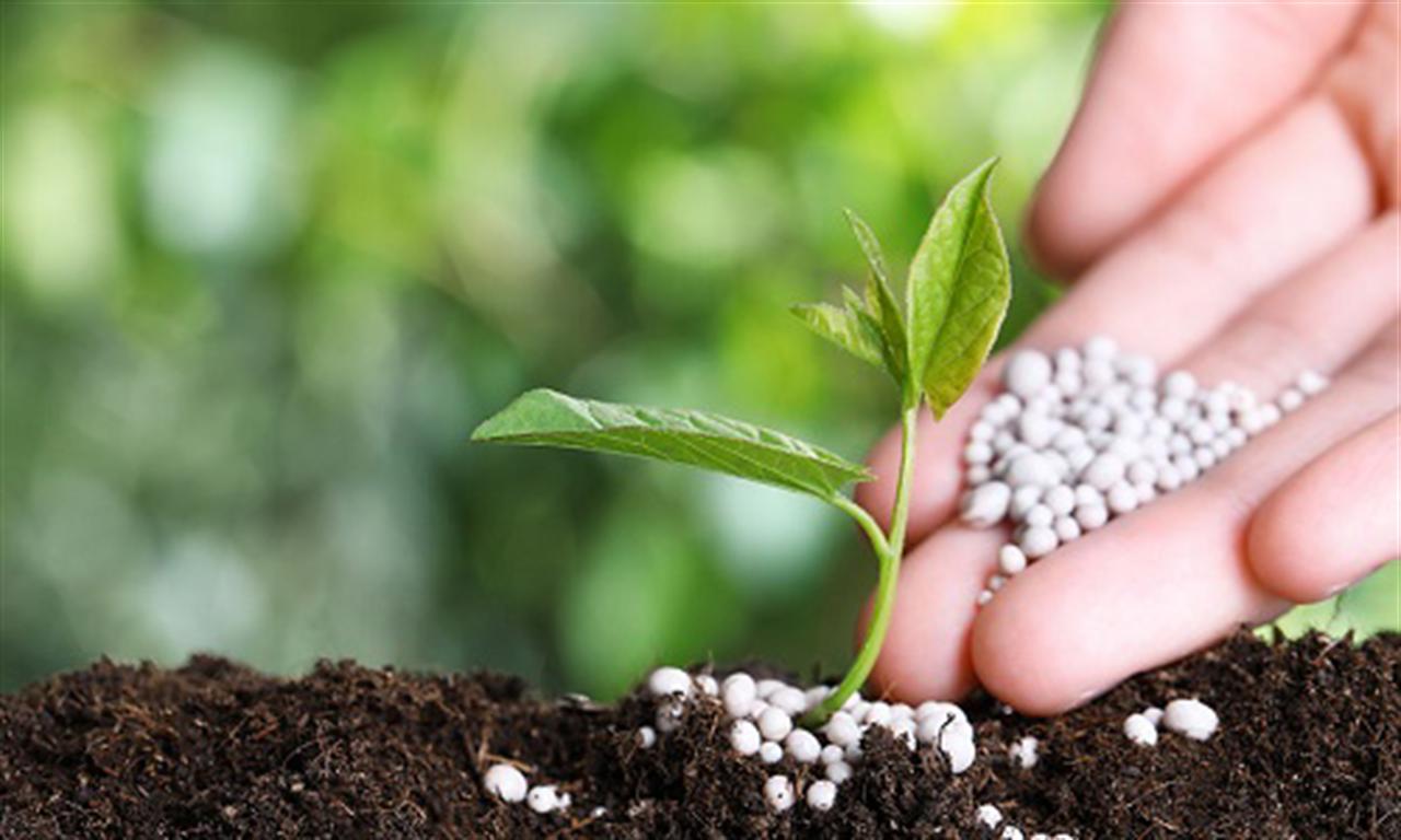 Biofertilizers Global Market is Projected to Reach $5.5 Billion by 2030