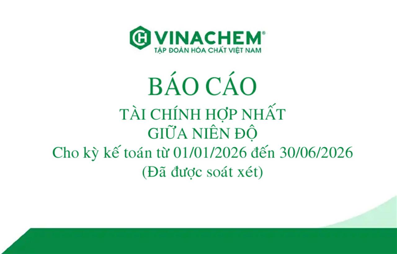 Tập đoàn Hóa chất Việt Nam: Báo cáo Tài chính hợp nhất giữa niên độ cho kỳ kế toán từ 01/01/2026 đến 30/06/2026 (Đã được soát xét)