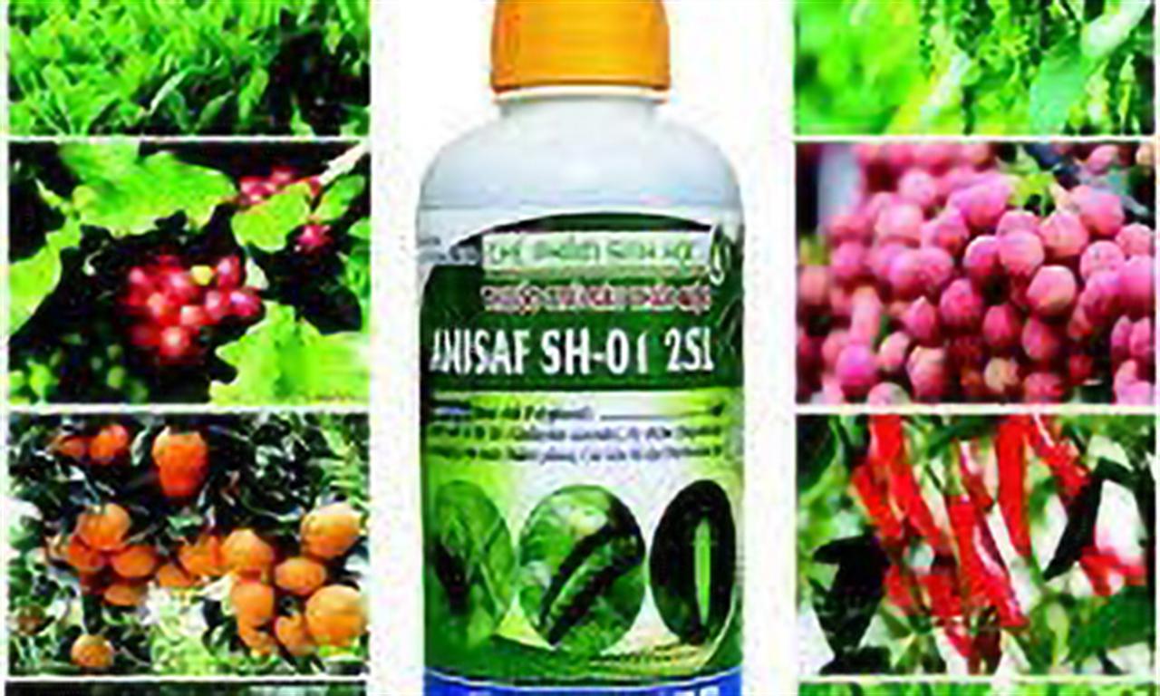 Nhập khẩu thuốc trừ sâu 9 tháng năm 2021 tăng từ hầu hết thị trường