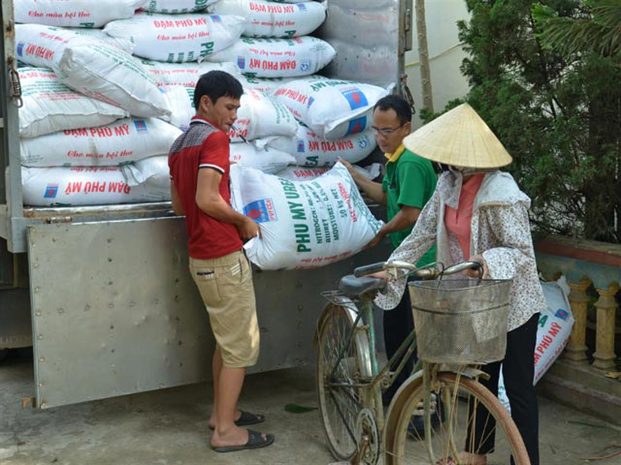 Giá DAP giảm thấp nhất kể từ năm 2009