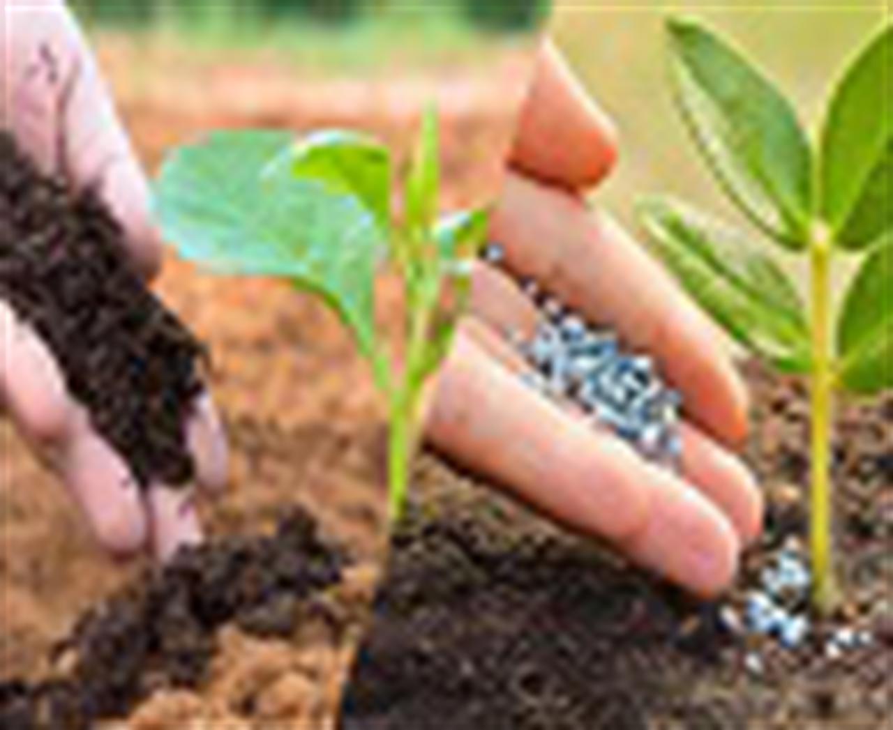 Các biện pháp phòng chống dịch COVID-19 đang hỗ trợ cho thị trường phân lân toàn cầu