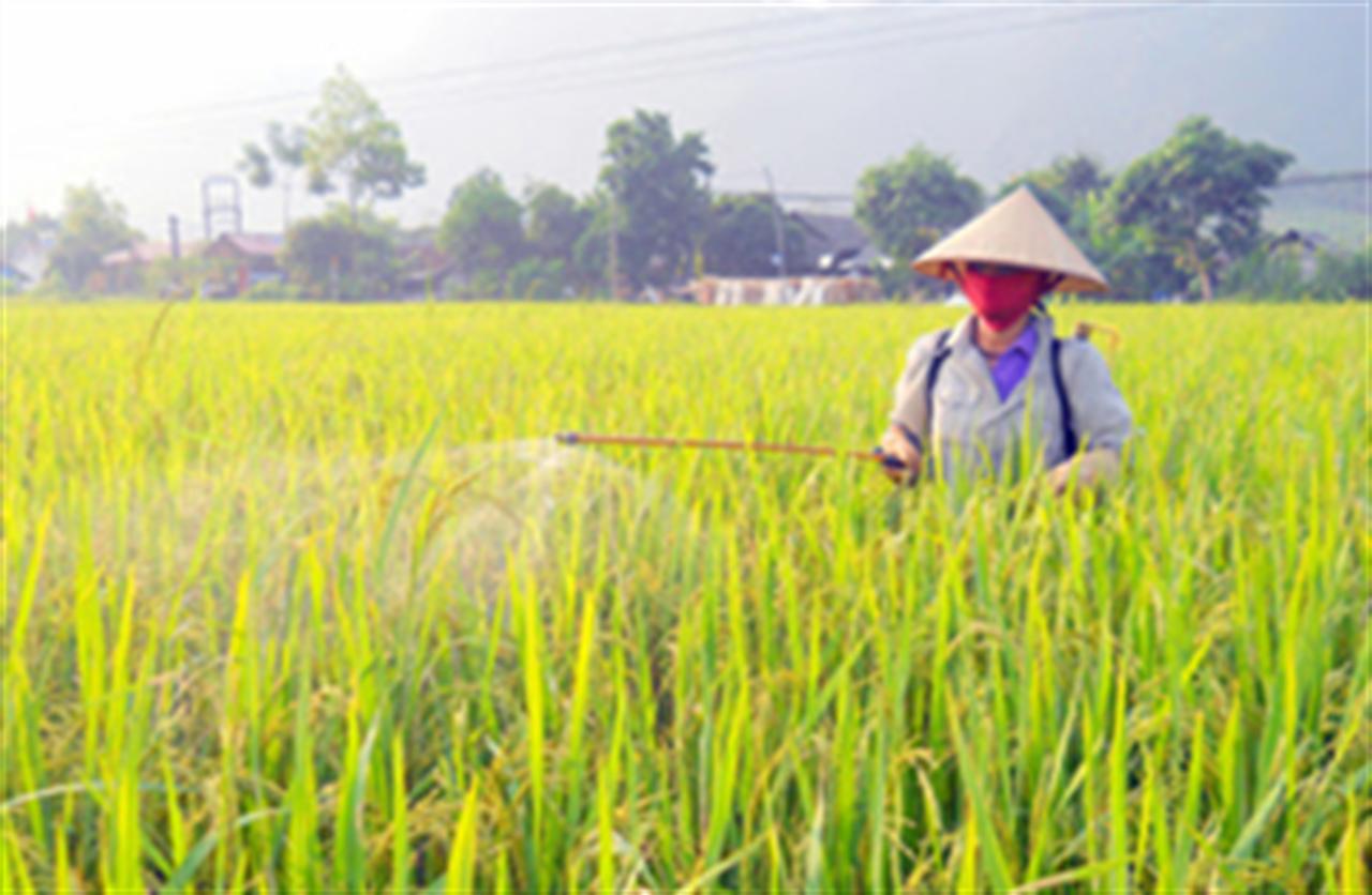 Quốc hội sẽ quyết việc sửa thuế giá trị gia tăng phân bón vào tháng 3/2021