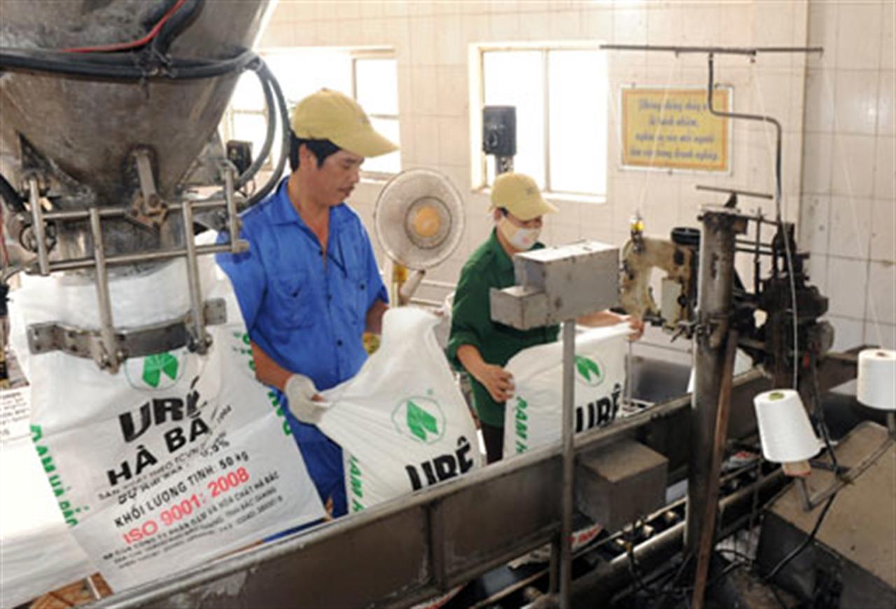 Quản lý Chất lượng phân bón: Không thể “thả gà” rồi đuổi!