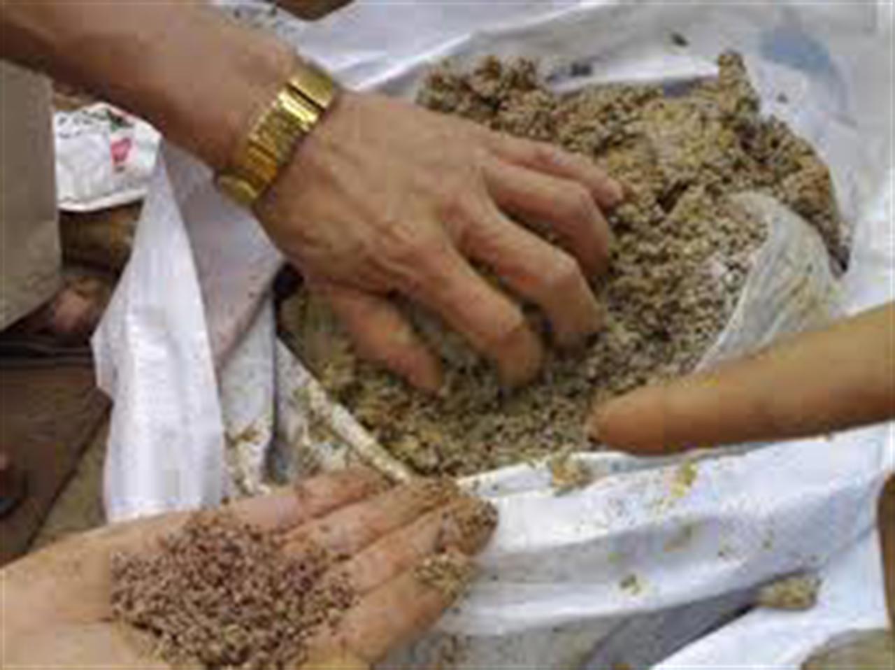 Tái diễn tình trạng phân bón giả