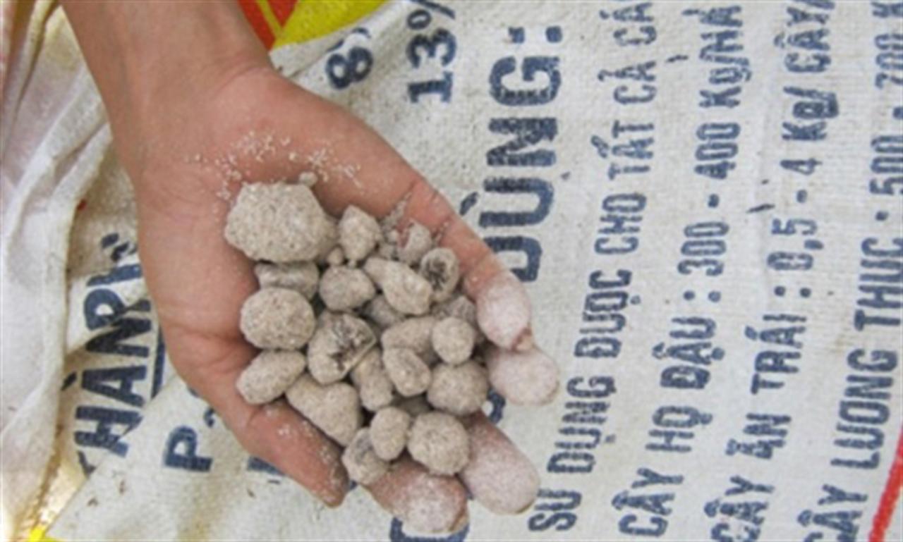 Nơm nớp lo phân bón rởm