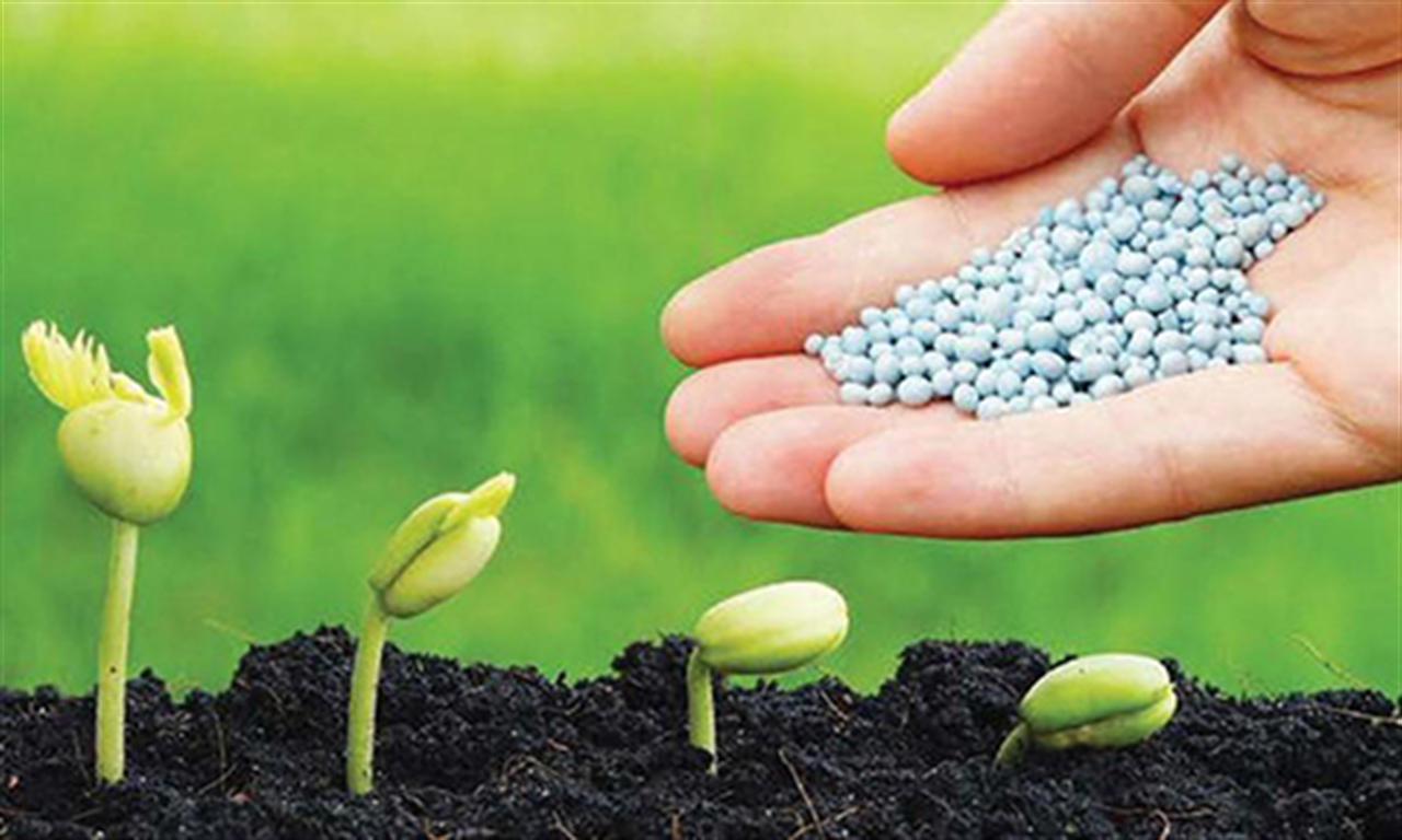 Tình trạng thiếu phân bón đang diễn ra ở Bắc Mỹ