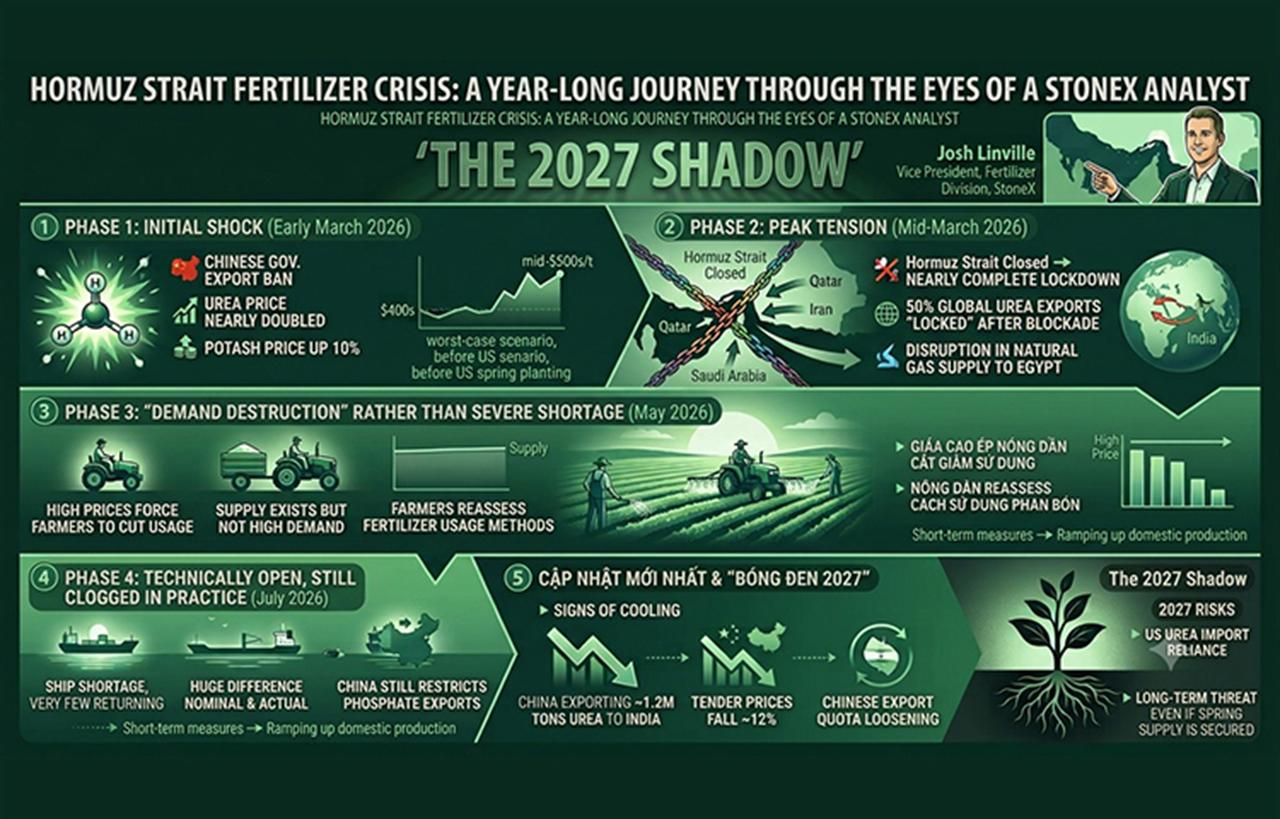 The Hormuz Fertilizer Crisis: A Year-Long Journey Through the Eyes of a StoneX Analyst