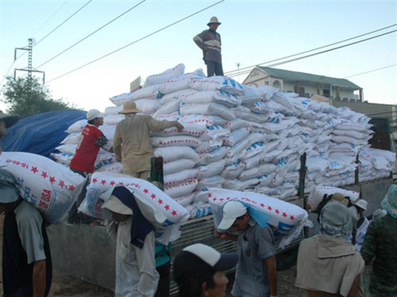 Thị trường phân bón quốc tế đến ngày 29/11/2013