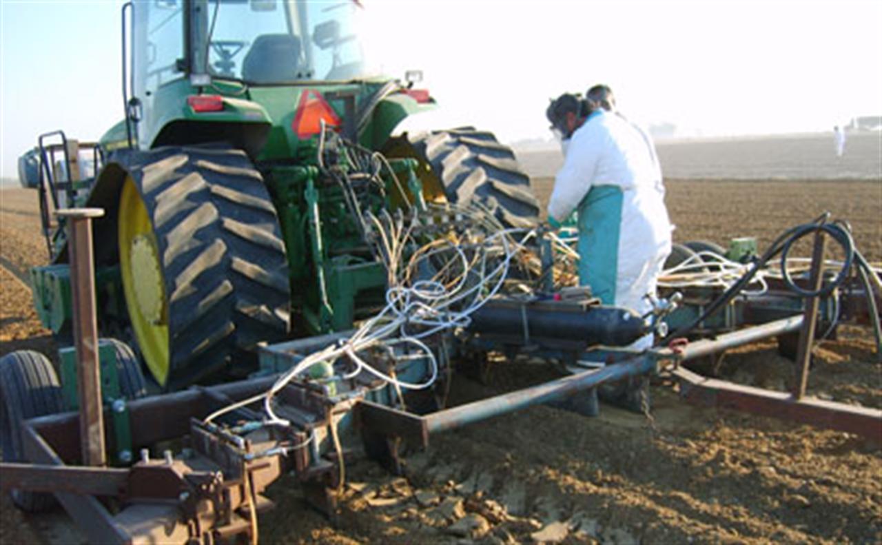 Ammonia Fertilizer May Solve Pesticide Problem