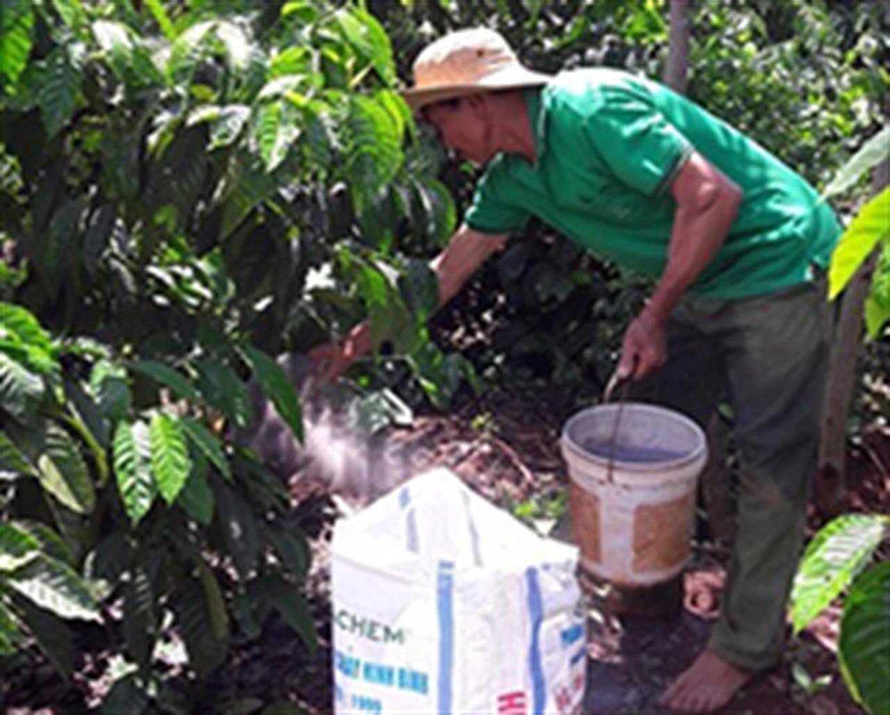 Lân Ninh Bình nâng chất lượng cà phê Tây Nguyên