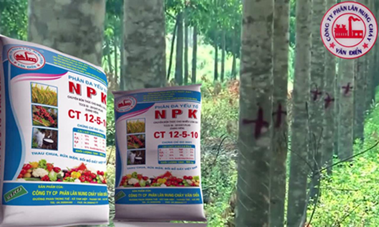 Phân bón Văn Điển: Nâng giá trị cây trồng chủ lực tại Tây Nguyên