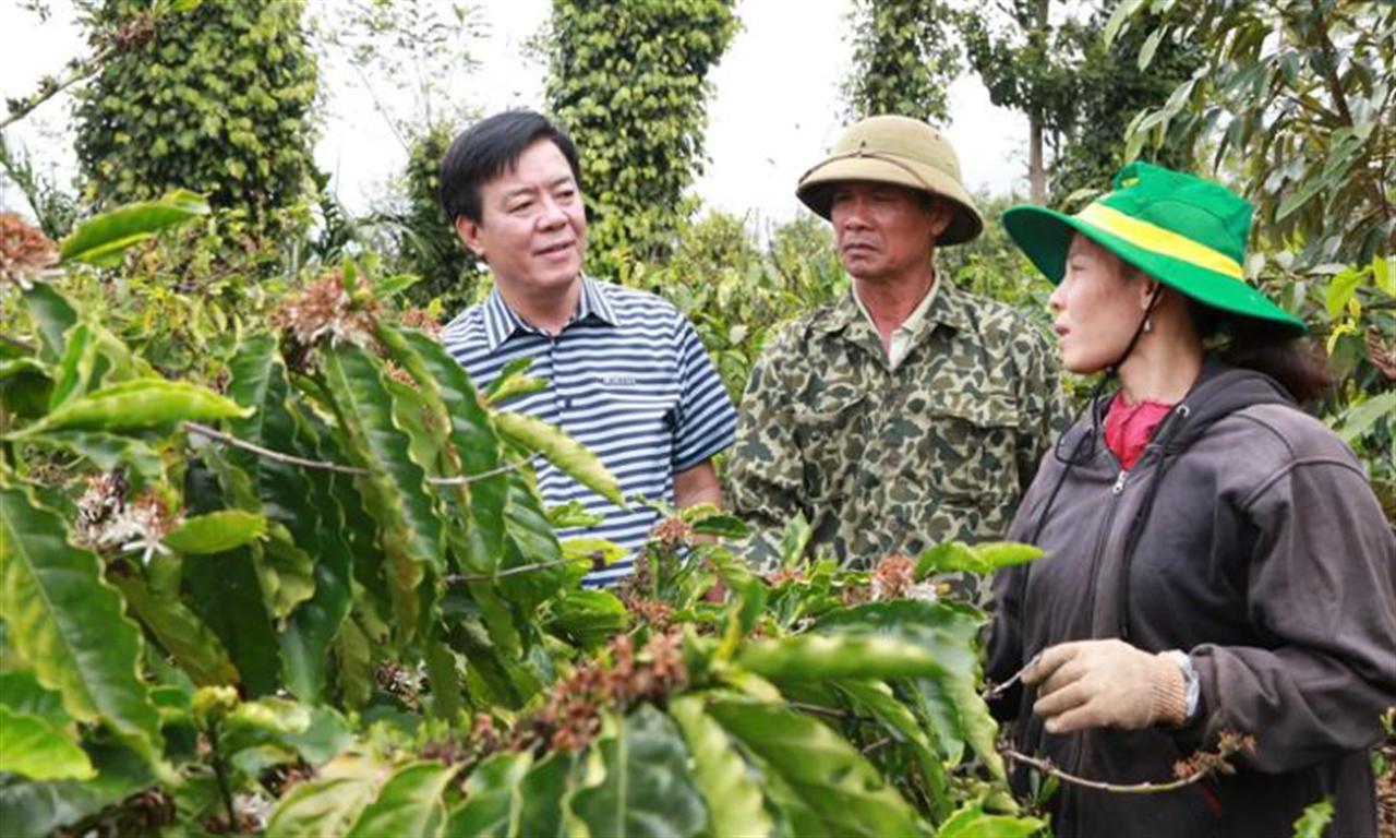 Nông nghiệp thông minh có gì khác với nông nghiệp truyền thống?