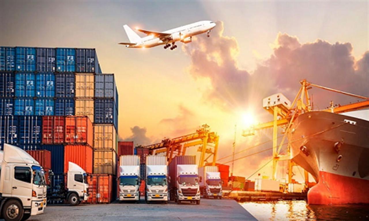 Viet Nam’s exports to India witness positive growth