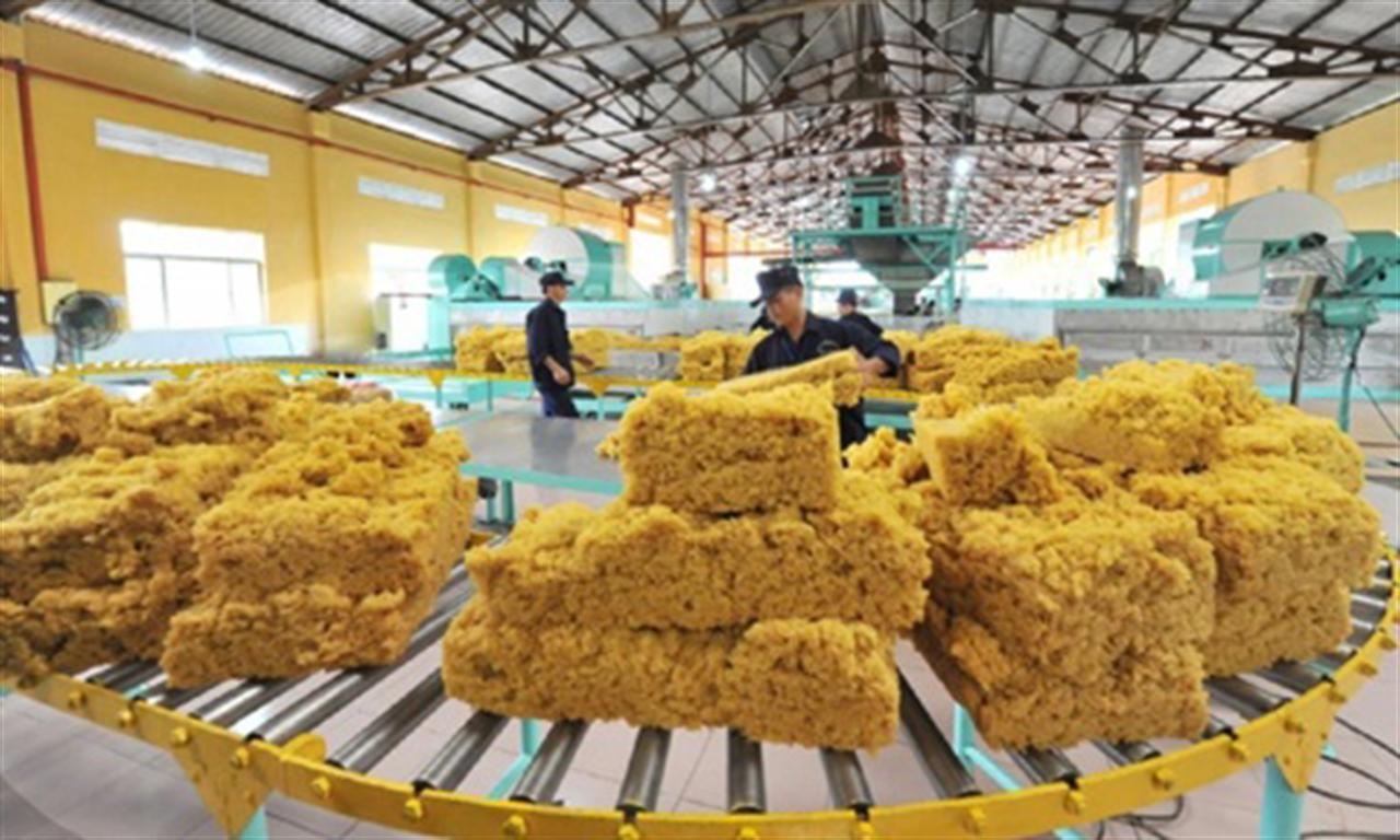 Policy push needed as Vietnam moves to grow EU rubber exports