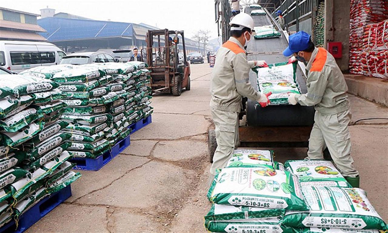 Giá phân bón giảm mạnh, doanh nghiệp và người nông dân chia sẻ khó khăn
