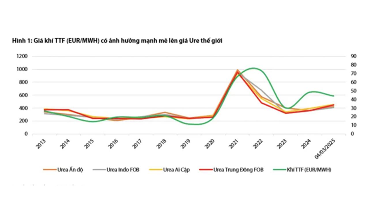 Giá phân bón thế giới dự báo tăng hết quý 1/2025 nhờ giá khí tăng