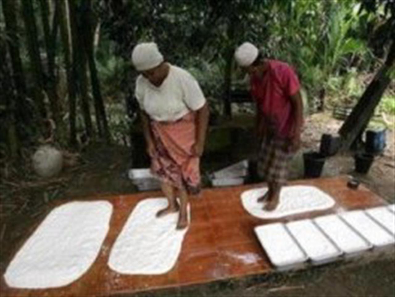 Giá cao su tại Tokyo tiếp tục giảm do yên tăng