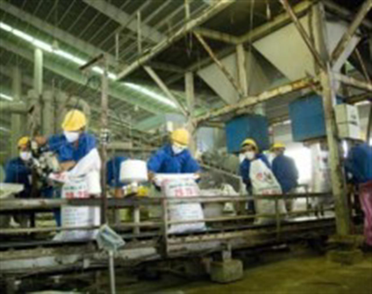 Chi phí đầu vào của các doanh nghiệp phân bón có thể tăng khoảng 14%