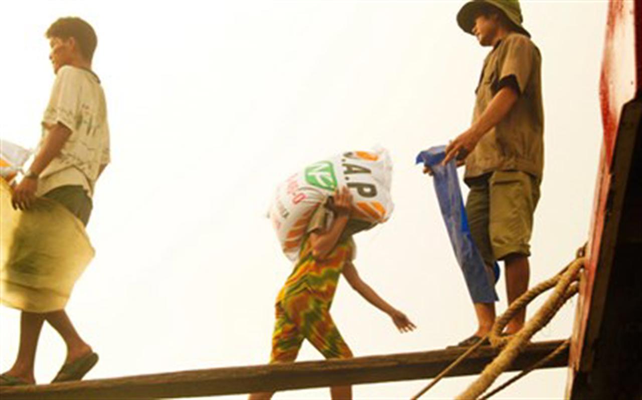 Giá phân bón có thể tăng 2,5%