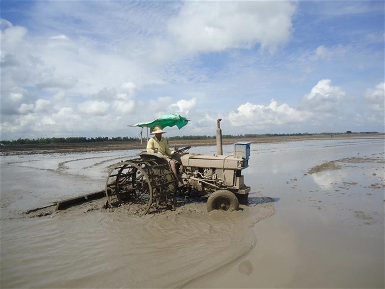 Vụ lúa đông xuân bắt đầu, giá phân đạm tăng theo