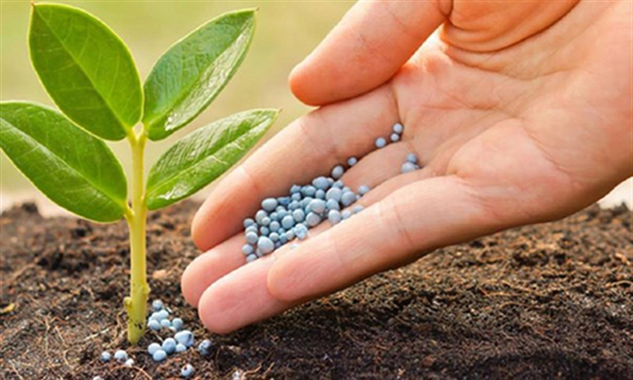 Nga hạn chế xuất khẩu phân bón trong 6 tháng