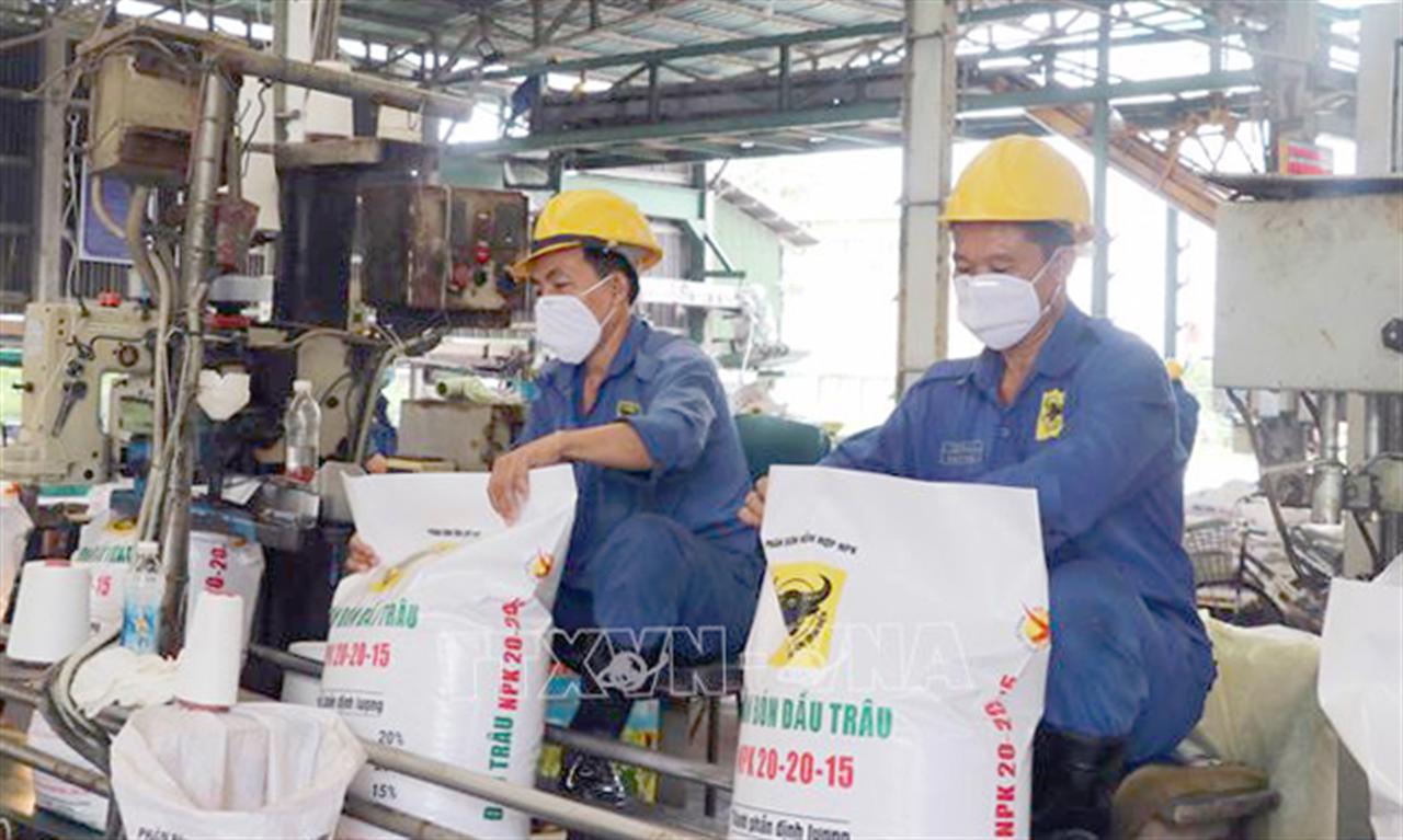 Thị trường phân bón trong nước ổn định