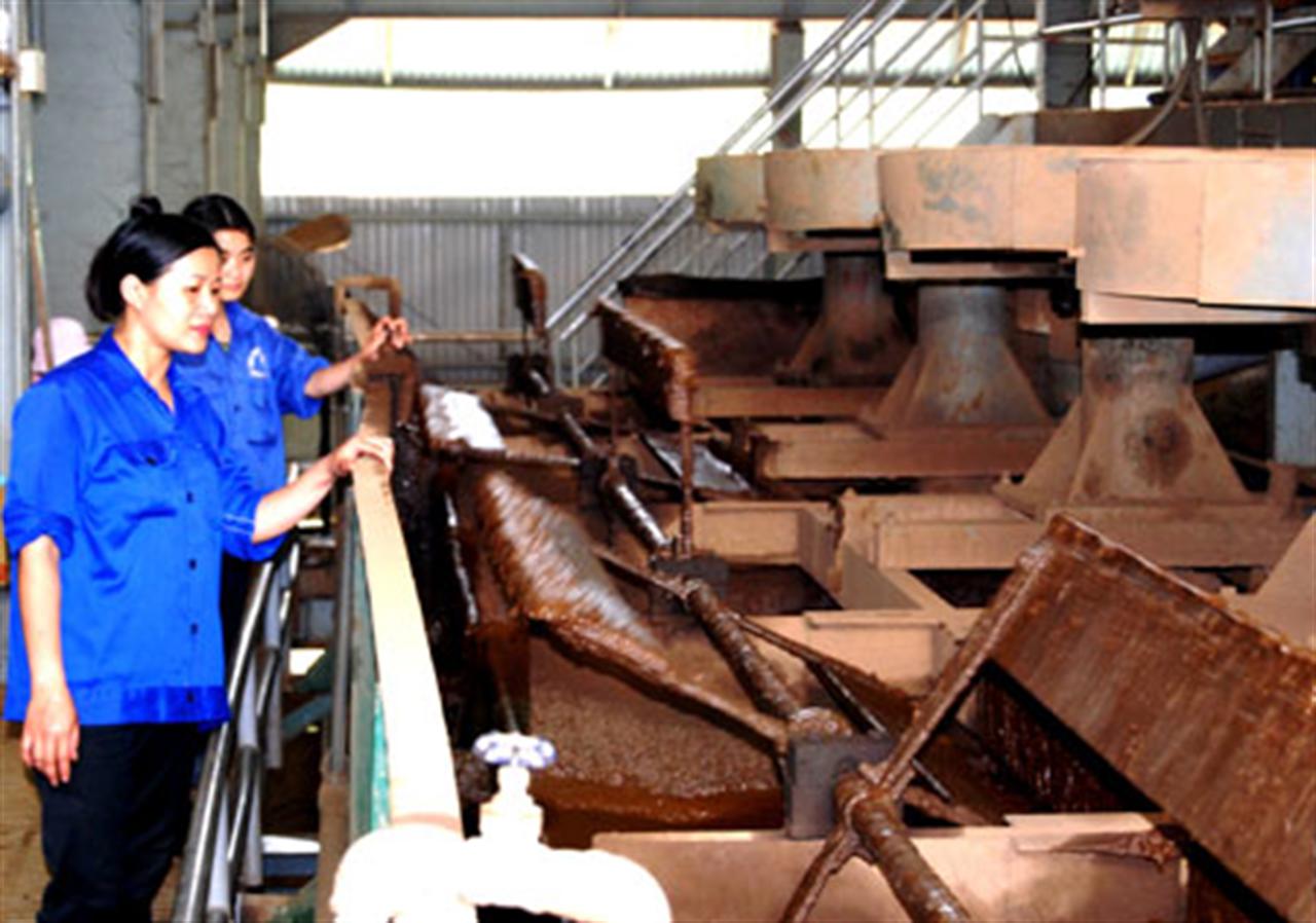 LĐSX đầu xuân: Sản xuất hơn 14 nghìn tấn quặng tuyển apatit