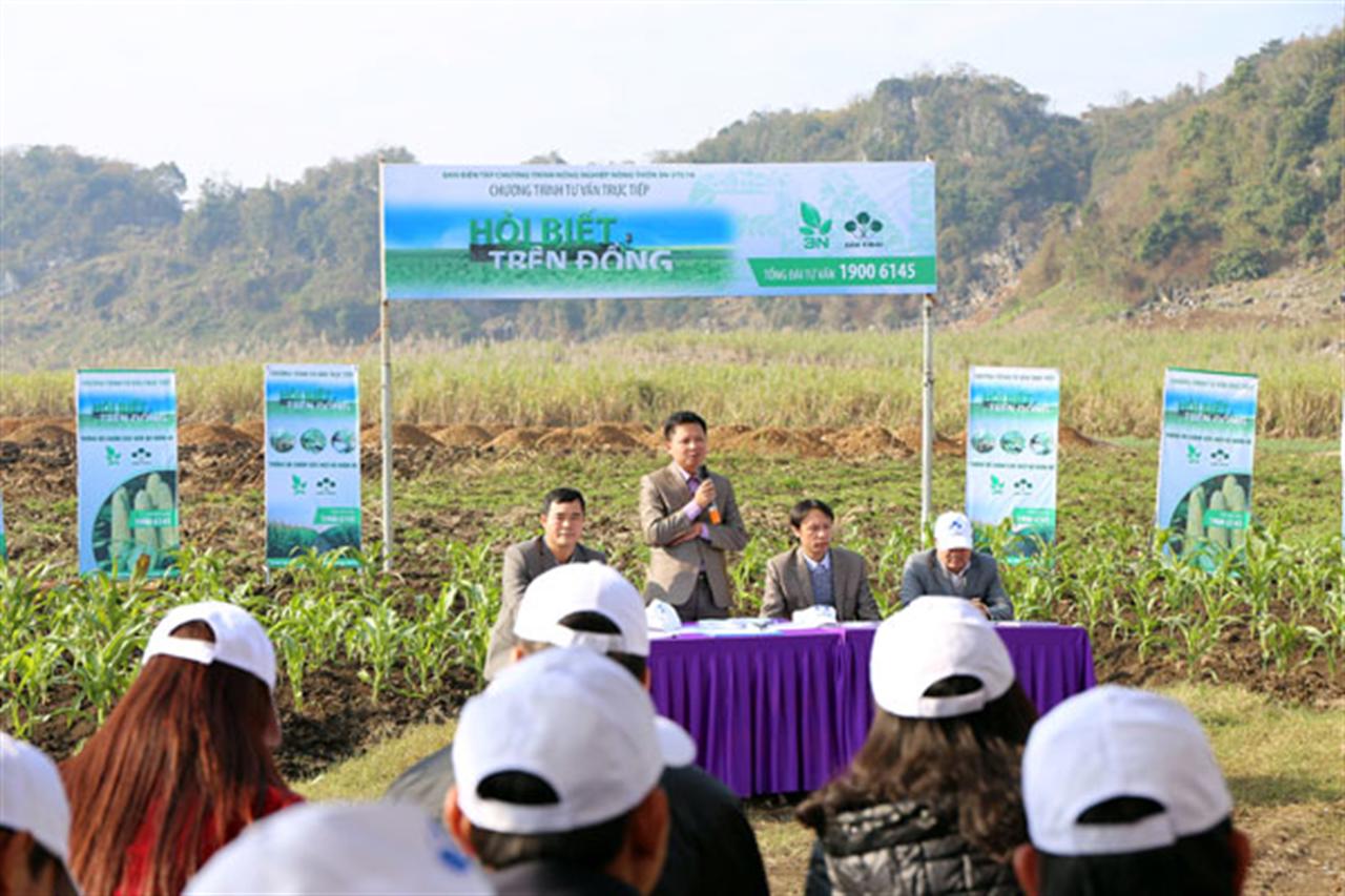 Phân bón Lâm Thao tiếp sức cho vựa ngô Sơn La