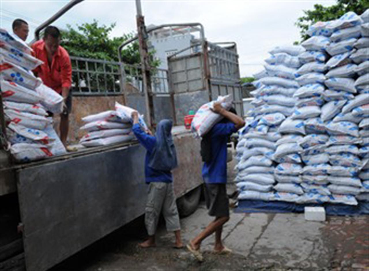 Thị trường phân bón thu đông vào vụ