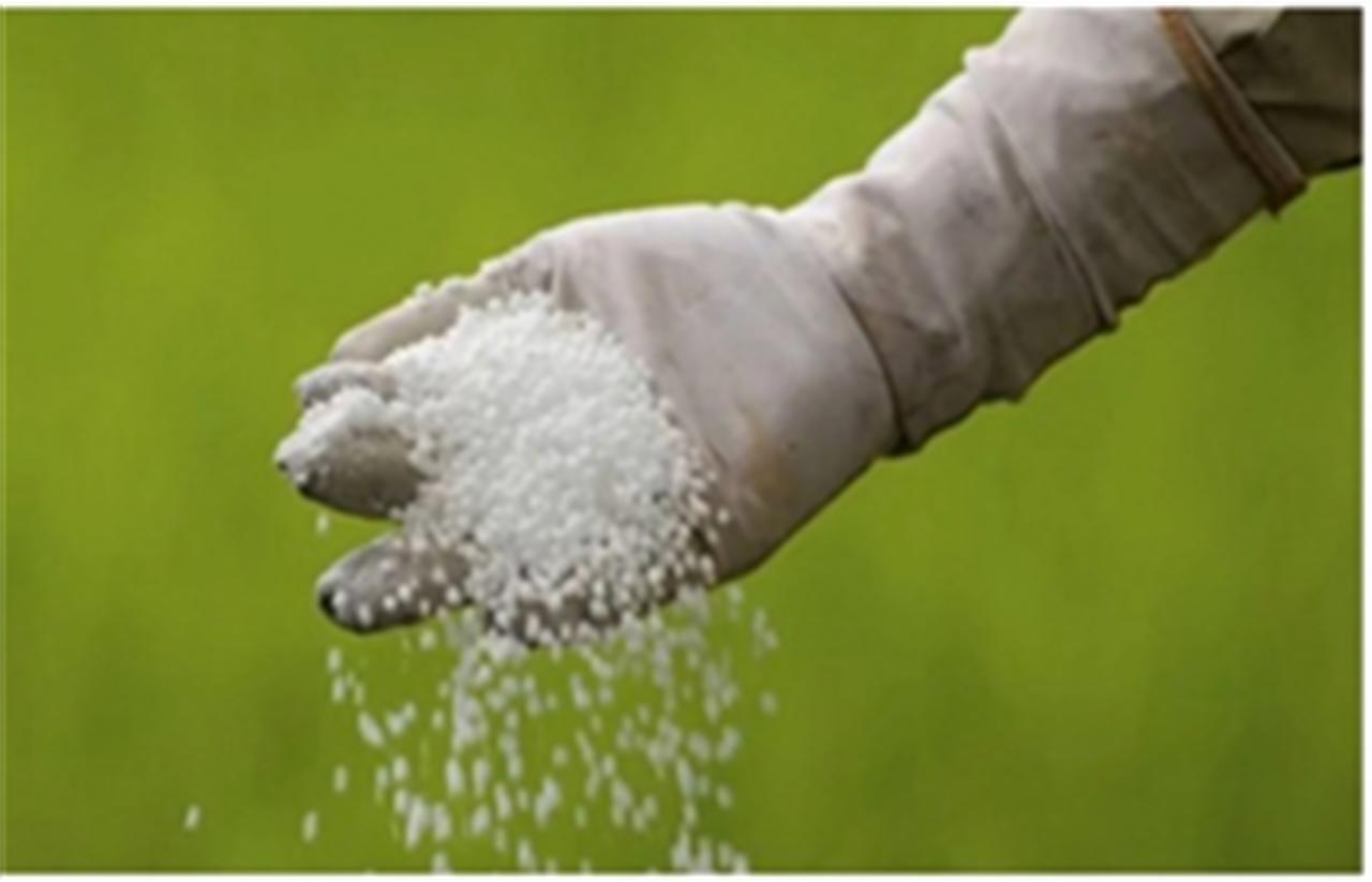 Việt Nam xuất khẩu phân bón đạt hơn 1 triệu tấn năm 2020