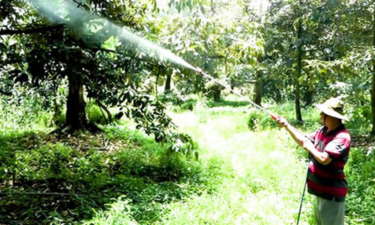 VEPR forecasts Vietnamese GDP growth at below 6% this year