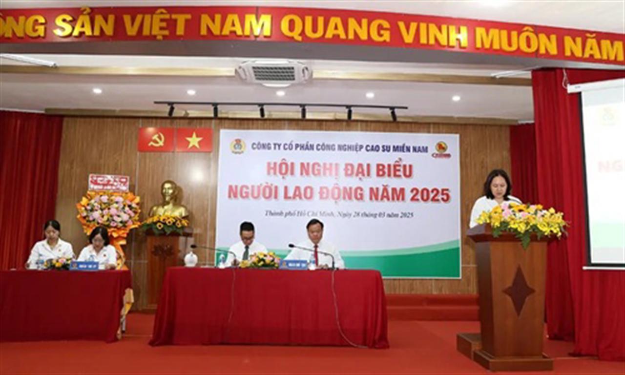 Casumina: 2024 profit reached VND 89.1 billion, achieving 111% of the plan