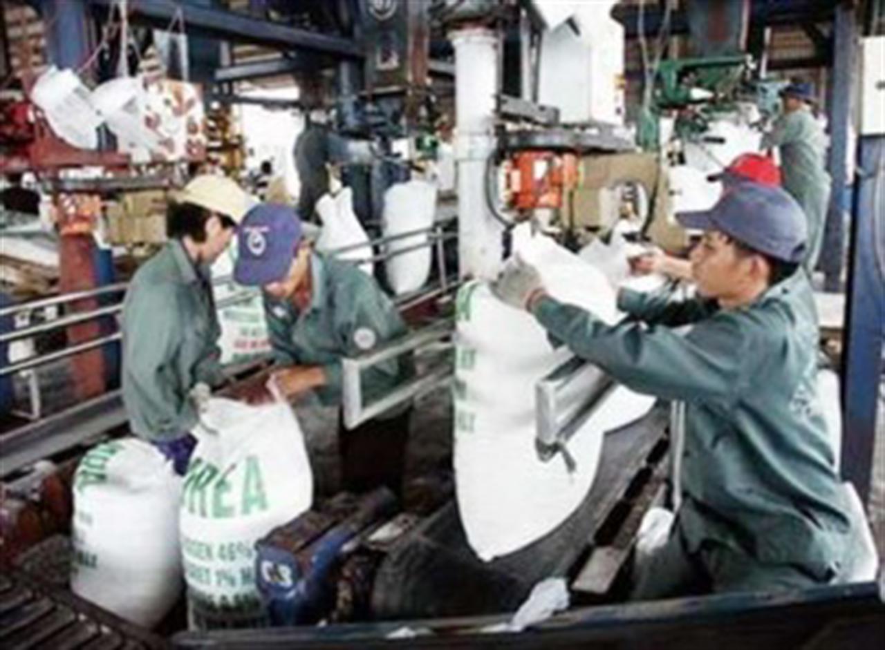 Phân đạm cung vượt cầu: Nông dân được lợi gì?