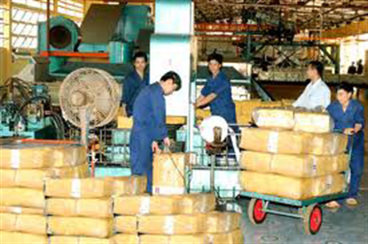 Giá cao su Tocom giảm phiên thứ 3 liên tiếp