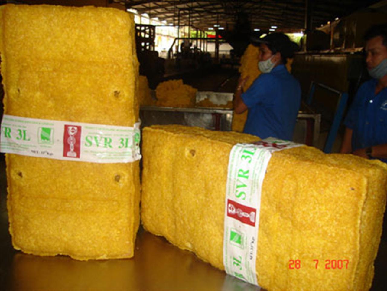 Giá cao su Trung Quốc trong tuần từ 17-23/3/2014 giảm 3,3%