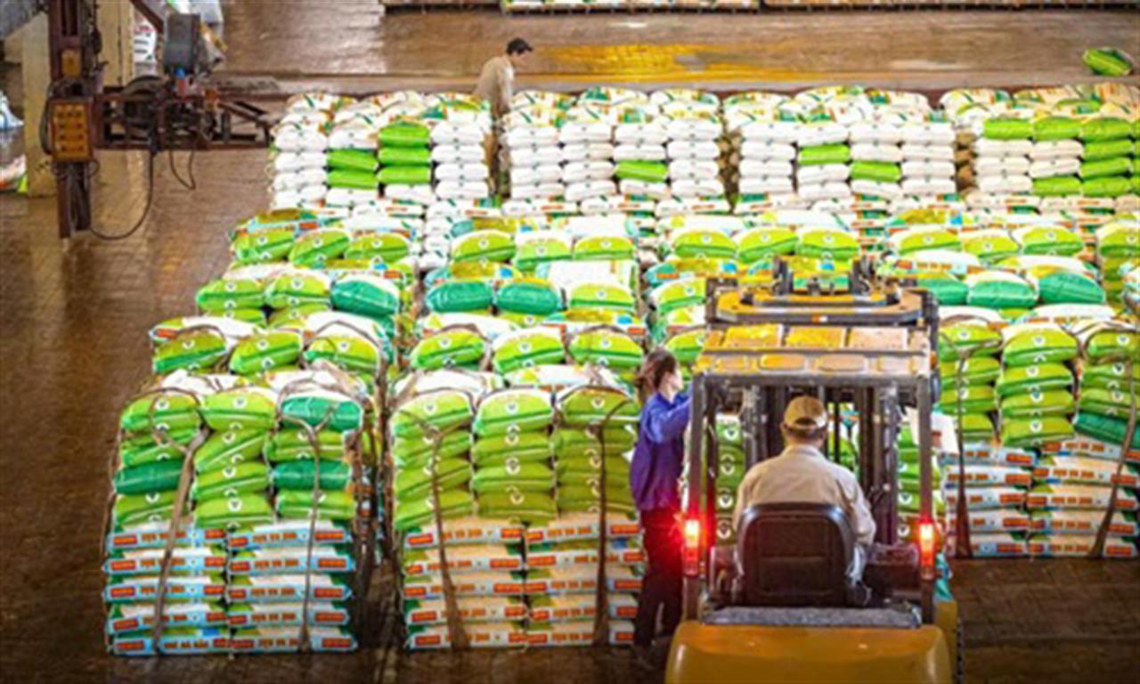 2024 fertilizer exports exceed US$700 million