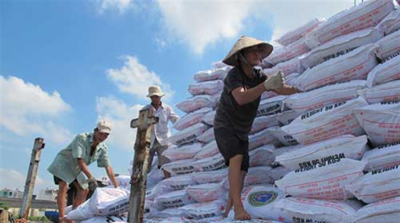 Thị trường phân bón trong nước có thể sẽ sôi động trở lại trong thời gian tới nhưng giá sẽ chỉ dao động nhẹ
