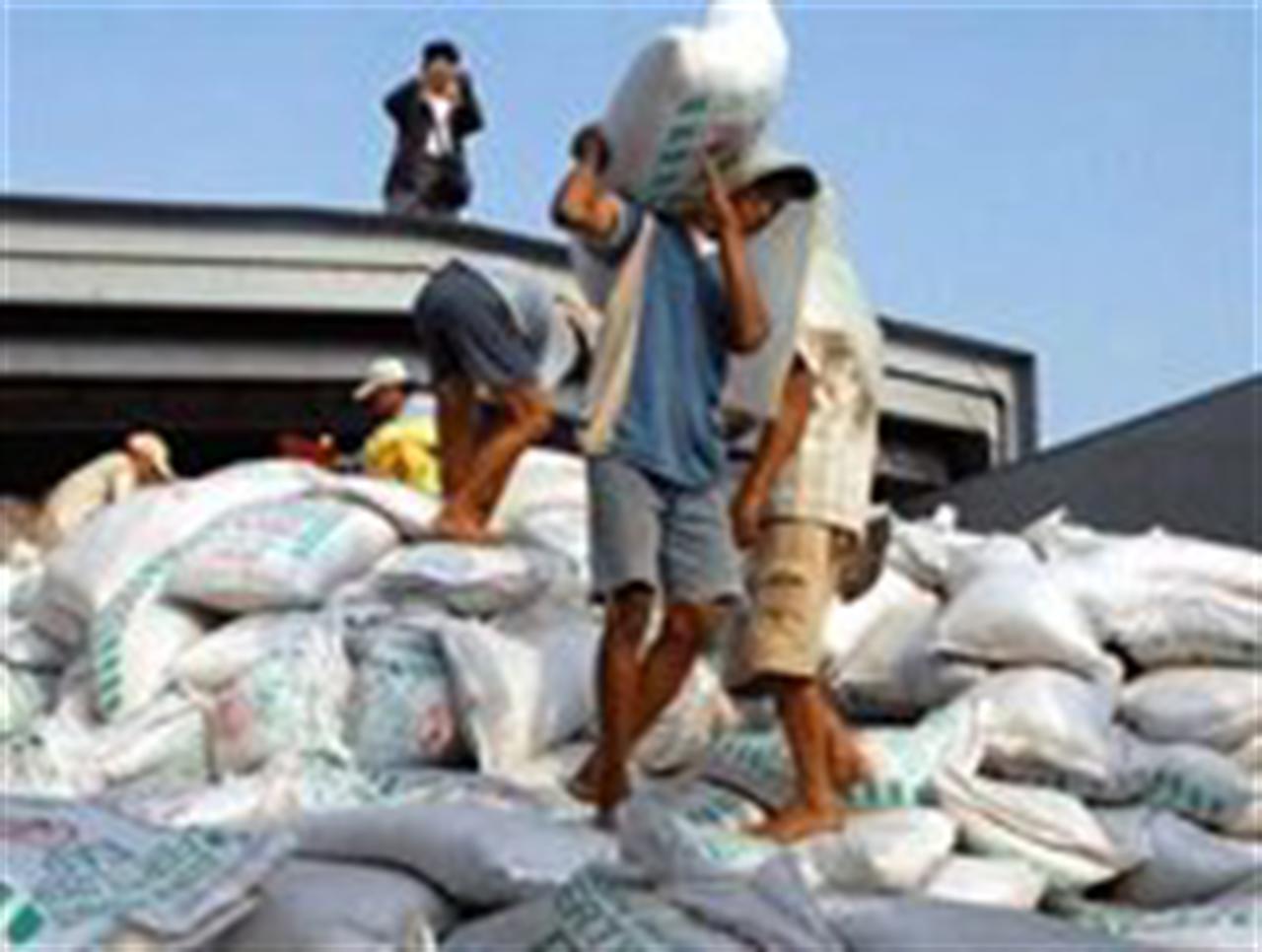 Phân bón: Bản tin ngày 26/9/2011