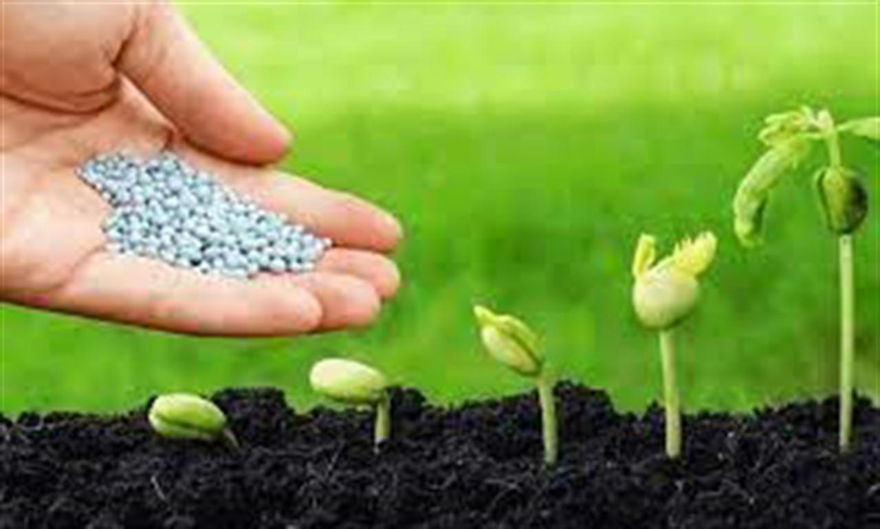 Xuất khẩu phân bón tháng 1/2023 giảm mạnh so với cùng kỳ năm 2022