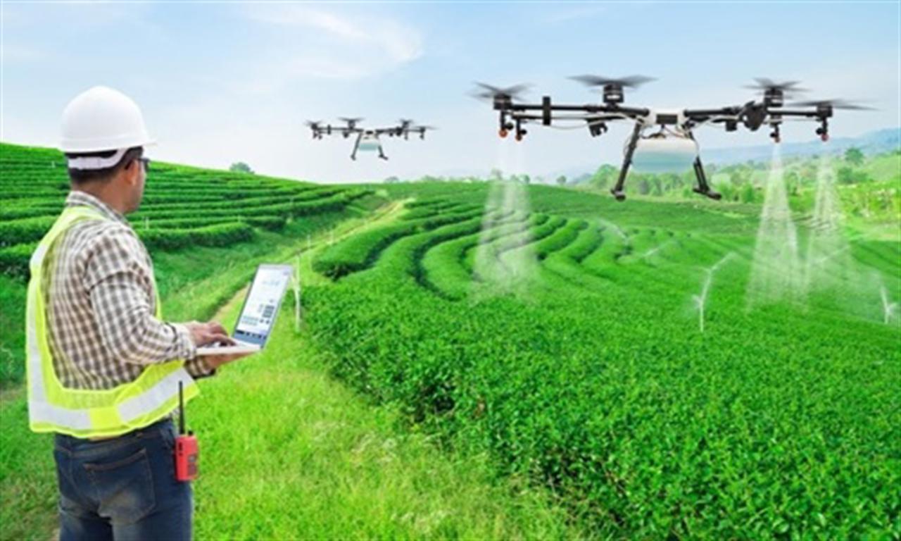 AI là lời giải để nông nghiệp 'xanh và thông minh'