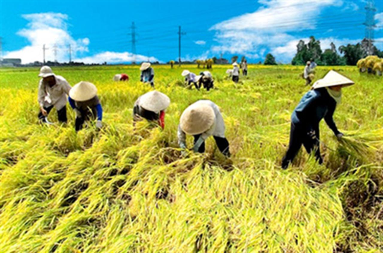 Cục Quản lý giá: Giá nhiều mặt hàng trọng yếu có thể còn tăng
